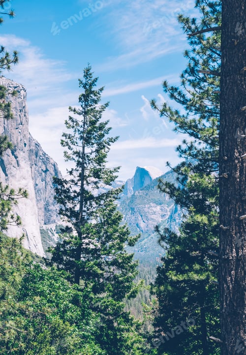 Preview: Protected Yosemite Valley In Yosemite National Park, California, Usa