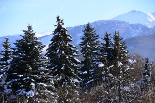 Vorschau: Winterlandschaft