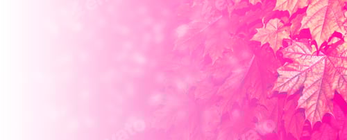 Preview: Autumn Landscape With Bright Colorful Leaves. Indian Summer. Foliage