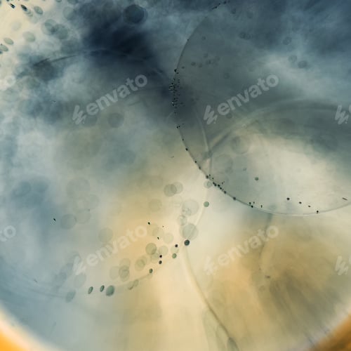 Preview: Abstract Underwater Games With Jelly Balls, Bubbles And Light
