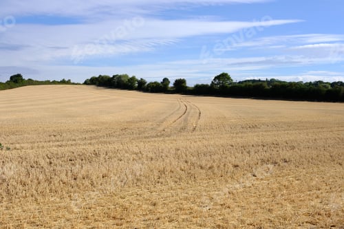 Preview: Dry Harvested Crop Field During The Uk Summer Heatwave 2018