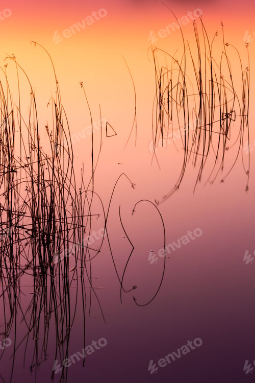 Preview: Water Reflection. Colorful Nature Background.