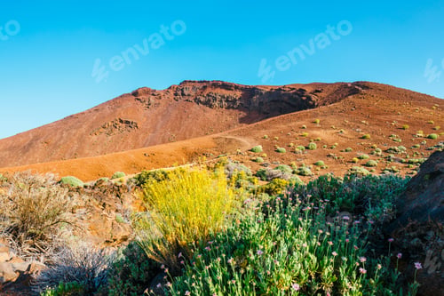 Preview: Landscape Of Volcano El Teide In The National Park Of Las Canadas Del Teide