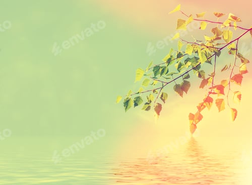 Preview: Green Birch Leaves On A Background Of The Spring Landscape.