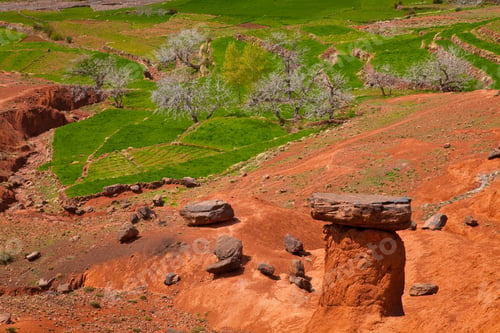 Preview: Landscape In Aguelmous, Khénifra Province, Béni Mellal-Khénifra, High Atlas Or The Grand Atlas