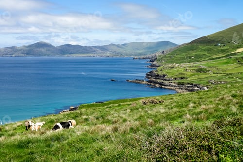 Preview: Ring Of Beara, Co. Cork And Co. Kerry, Ireland