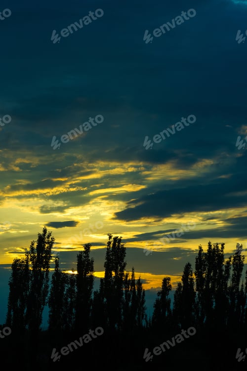 Preview: Landscape With Dramatic Light