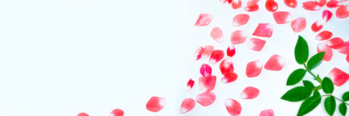 Preview: Bright Pink Rose Petals. Natural Floral Background.