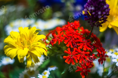 Preview: A Bouquet Of Bright Spring Flowers Of Various Types