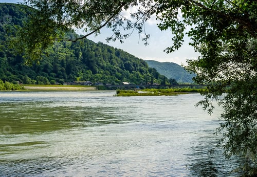 Preview: River Flows Among Of A Green Forest At The Foot Of The Mountain In Picturesque Nature Of Rural Area