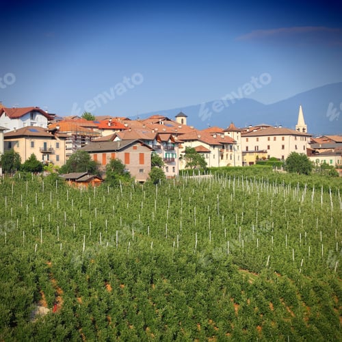 Preview: Revo Town And Apple Orchards In Val Di Non - Valley In Province Of Trento, Italy. Trentino Region