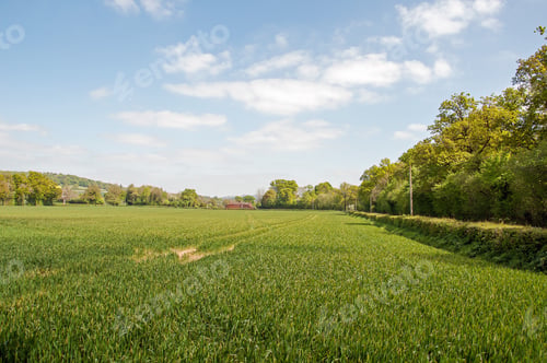 Preview: Springtime Agricultural Fields In The Herefordshire Countryside Of England.