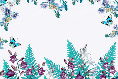 Preview: Floral Frame with Butterfly and Teal Ferns