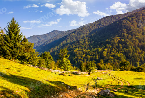Preview: Countryside Road In Mountains At Sunrise. Orchard Behind The Fence On A Meadow