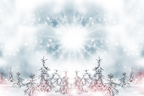 Preview: Winter Forest. Winter Landscape.