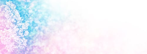 Preview: Bright And Colorful Flowers Lilac On The Background Of Spring Landscape.