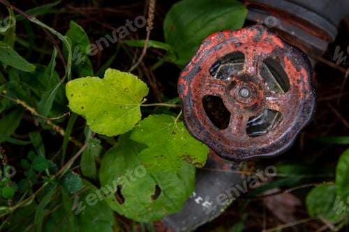 Preview: Close Up Of A Red Wheel Of A Water Control Valve Controlling The Amount Of Water To The Agriculture