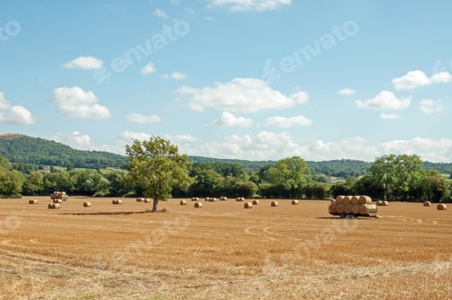 Preview: Summertime Landscape In The English Countryside.
