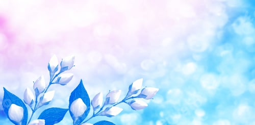 Preview: White Jasmine. The Branch Delicate Spring Flowers
