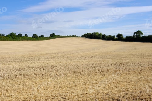 Preview: Dry Harvested Crop Field During The Uk Summer Heatwave 2018