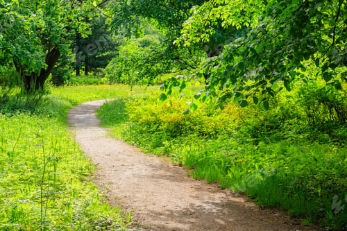 Preview: Beautiful Summer Landscape With Meadow Grasses, Trees And Flowers. Sunny Summer Morning In The