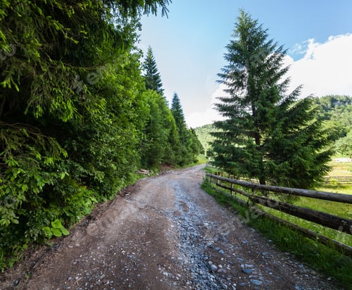 Preview: Landscape With A Road Through Alpine Forest In A Summer Day