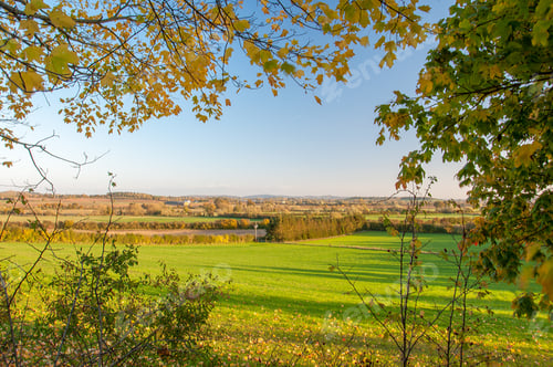 Preview: Agricultural Landscape In The Summertime.