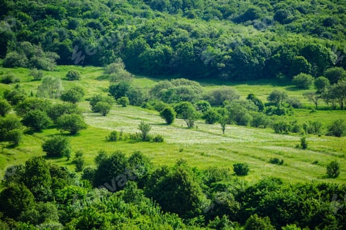 Preview: Marvelous Landscape With Forest, Armenia