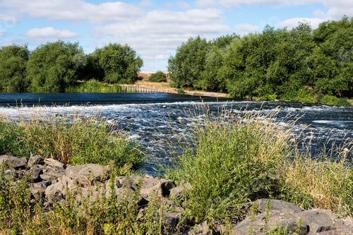 Preview: River Bank Weir Background