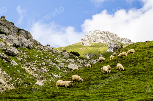 Preview: Landscape From Bucegi Mountains, Part Of Southern Carpathians In Romania