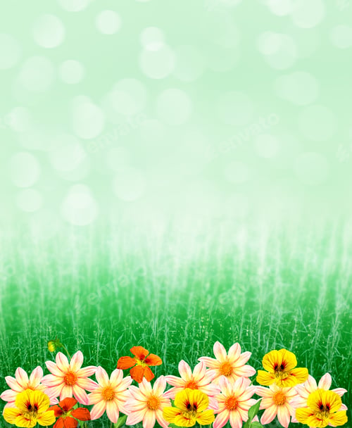 Preview: Colorful Flowers Dahlia On The Background Of The Summer Landscape