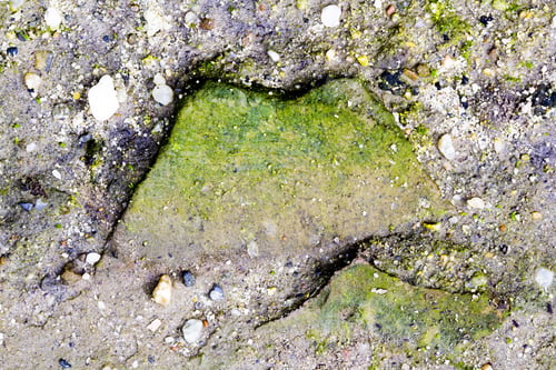 Preview: Concrete Surface With Piece Of Brick With Moss
