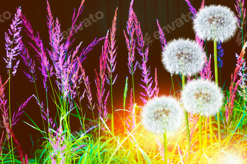 Preview: Fluffy Dandelion Flower Against The Background Of The Summer Landscape.