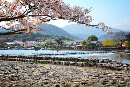 Preview: Cherry Blossom And Oi River In Arashiyama, Kyoto, Japan. Japanese View.