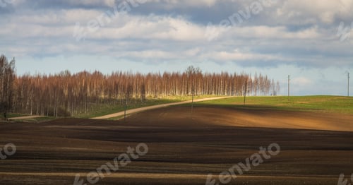 Preview: Processed Cereal Fields In Spring