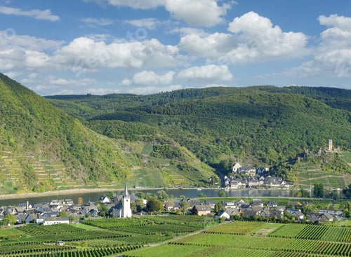 Preview: Vineyard Landscape Near Beilstein And Ellenz-Poltersdorf In Mosel Valley,Germany