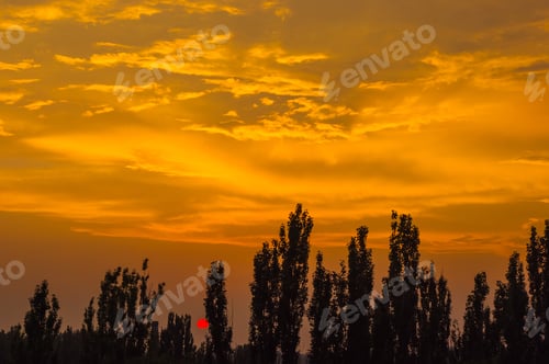 Preview: Landscape With Dramatic Light - Solar Disk, Orange Clouds And The Outline Of Trees At Sunset