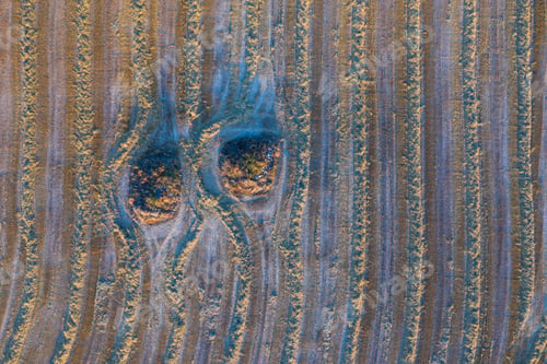 Preview: Aerial View Of The Agricultural Landscape In Villatomil Village Of Medina De Pomar Municipality In