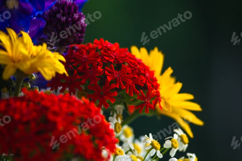 Preview: A Colorful Bouquet Of Bright Spring Flowers Of Various Types, Close-Up