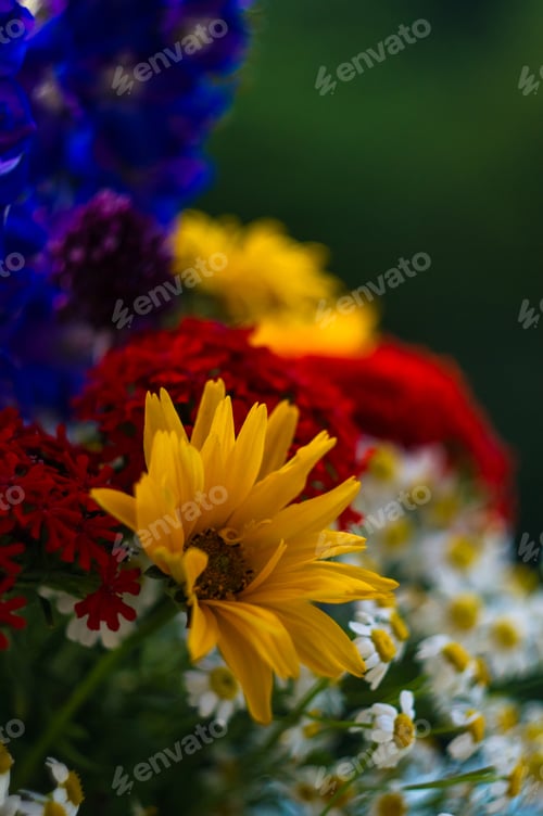 Preview: A Bouquet Of Bright Spring Flowers Of Various Types