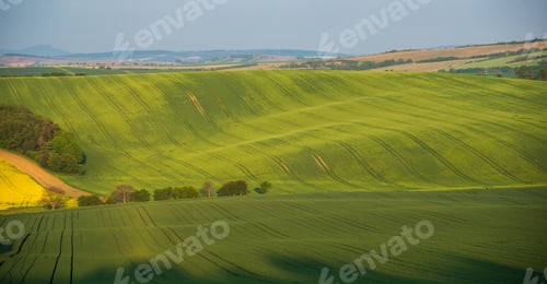 Preview: South Moravia Landscape And Farmland At Sunrise