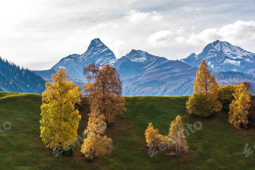 Preview: Autumn In Davos, Grisons, Switzerland