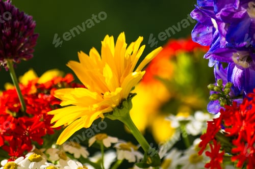 Preview: A Bouquet Of Bright Spring Flowers Of Various Types