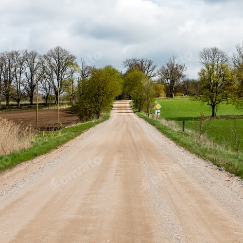 Preview: Empty Country Road In Spring With Perspective And Shadows