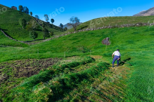 Preview: Grass Cutting In Traditional Mountain Landscape Of Shepherd Hut And Meadows In Miera Valley Within