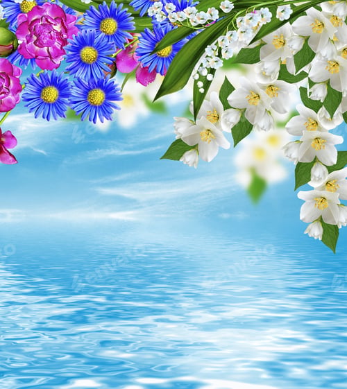 Preview: Branch Of Jasmine Flowers On A Background Of Blue Sky With Clouds
