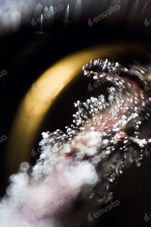 Preview: Abstract Underwater Games With Bubbles And Light