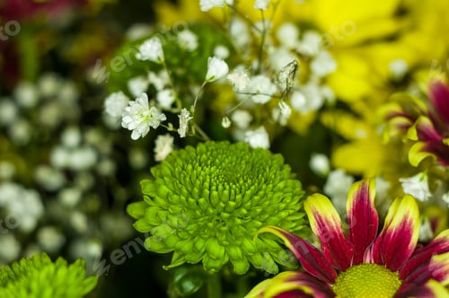 Preview: Beautiful Gift Bouquet Of Various Colorful Decorative Summer Flowers