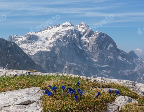 Preview: Epic Mountain Landscape