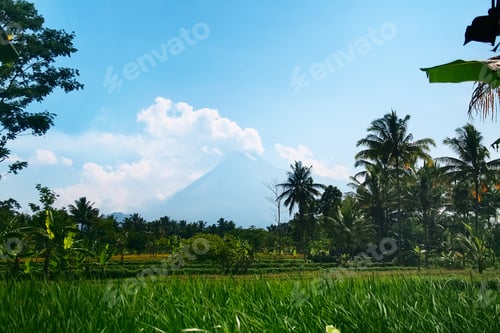 Preview: Mount Merapi, Gunung Merapi Active Volcano In Central Java And Yogyakarta, Indonesia And Palm Trees